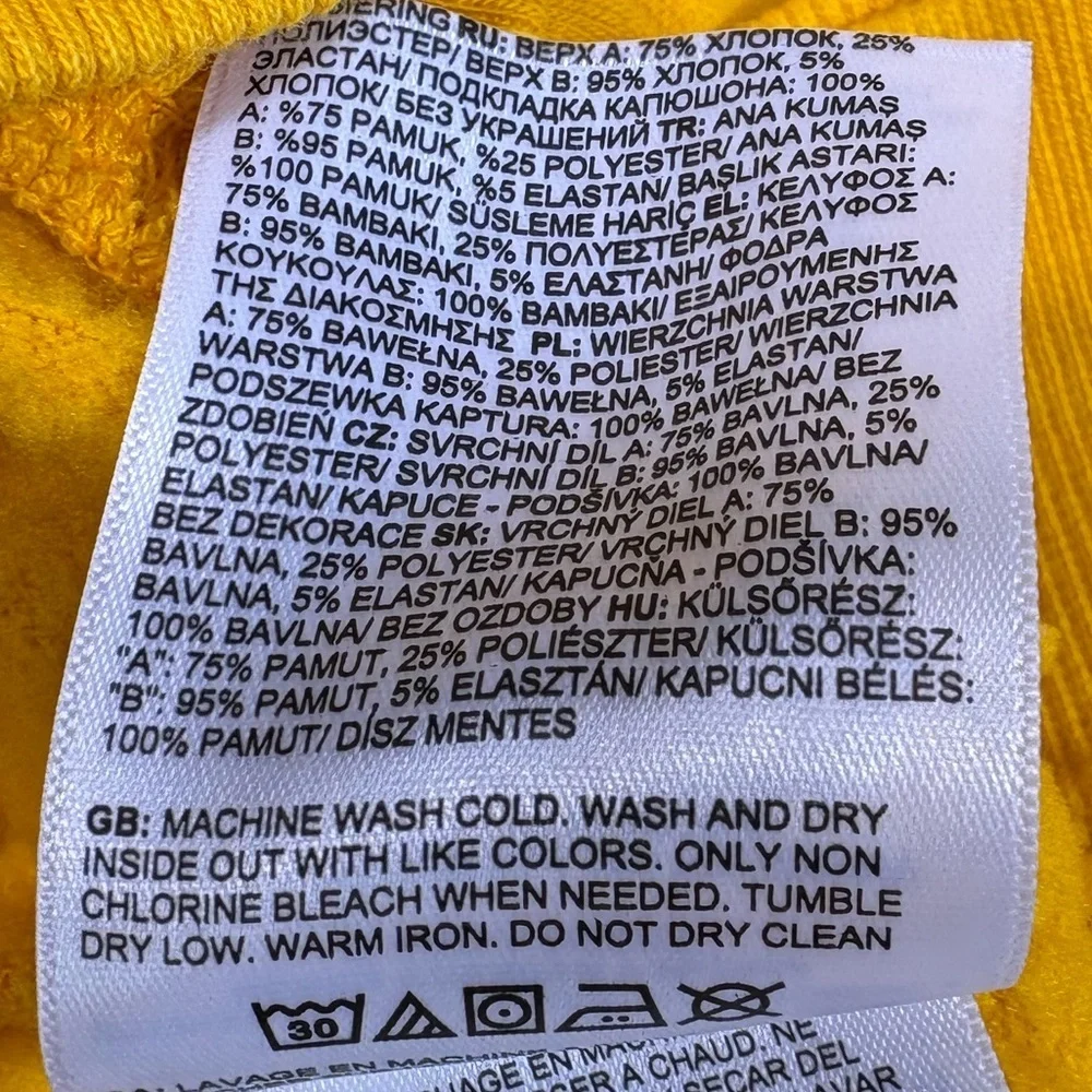The North Face Men's Places We Love Standard Fit Printed Hoodie in Summit Gold